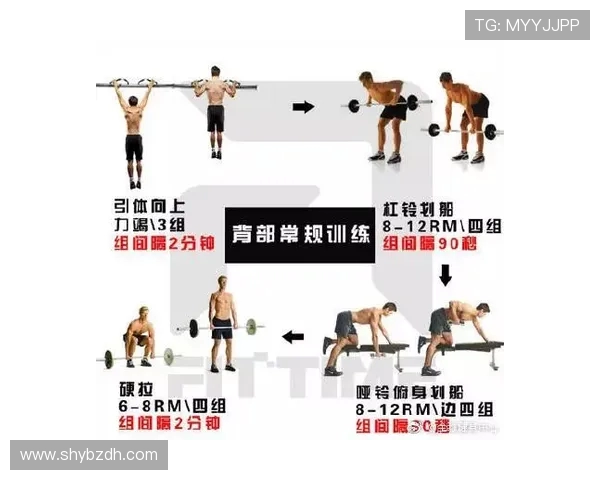 打造完美身形的全方位健身计划 助你提升体能与塑形效果 打造完美身形的全方位健身计划 助你提升体能与塑形效果