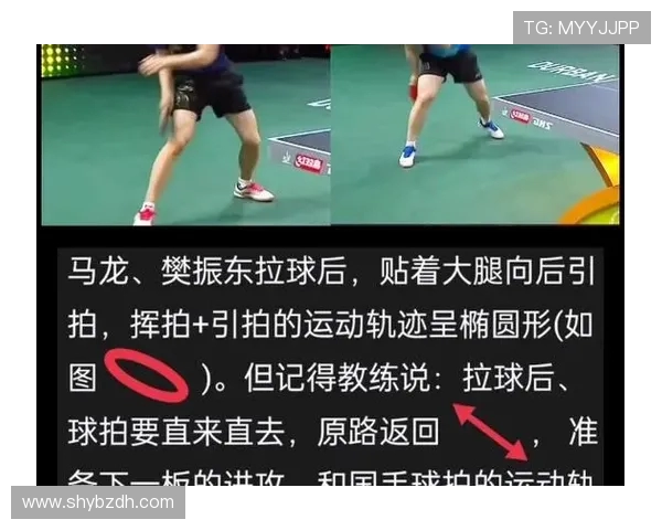 乒乓球运动的魅力与技巧探讨:从基础动作到竞技策略的全面解析 乒乓球运动的魅力与技巧探讨:从基础动作到竞技策略的全面解析
