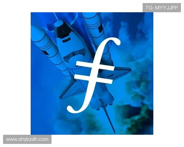 刘静谈飞盘成长之路与未来展望的深度专访